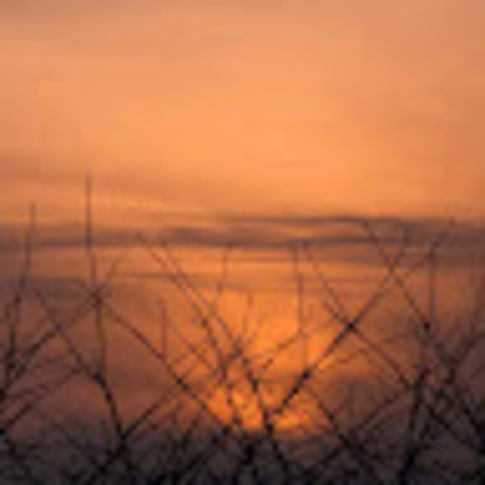 Meet your Posher, Louey